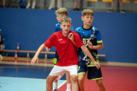 Gniezno 2026 - hale