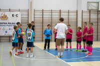 Gniezno 2026 - hale