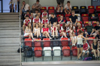 Gniezno 2026 - hale